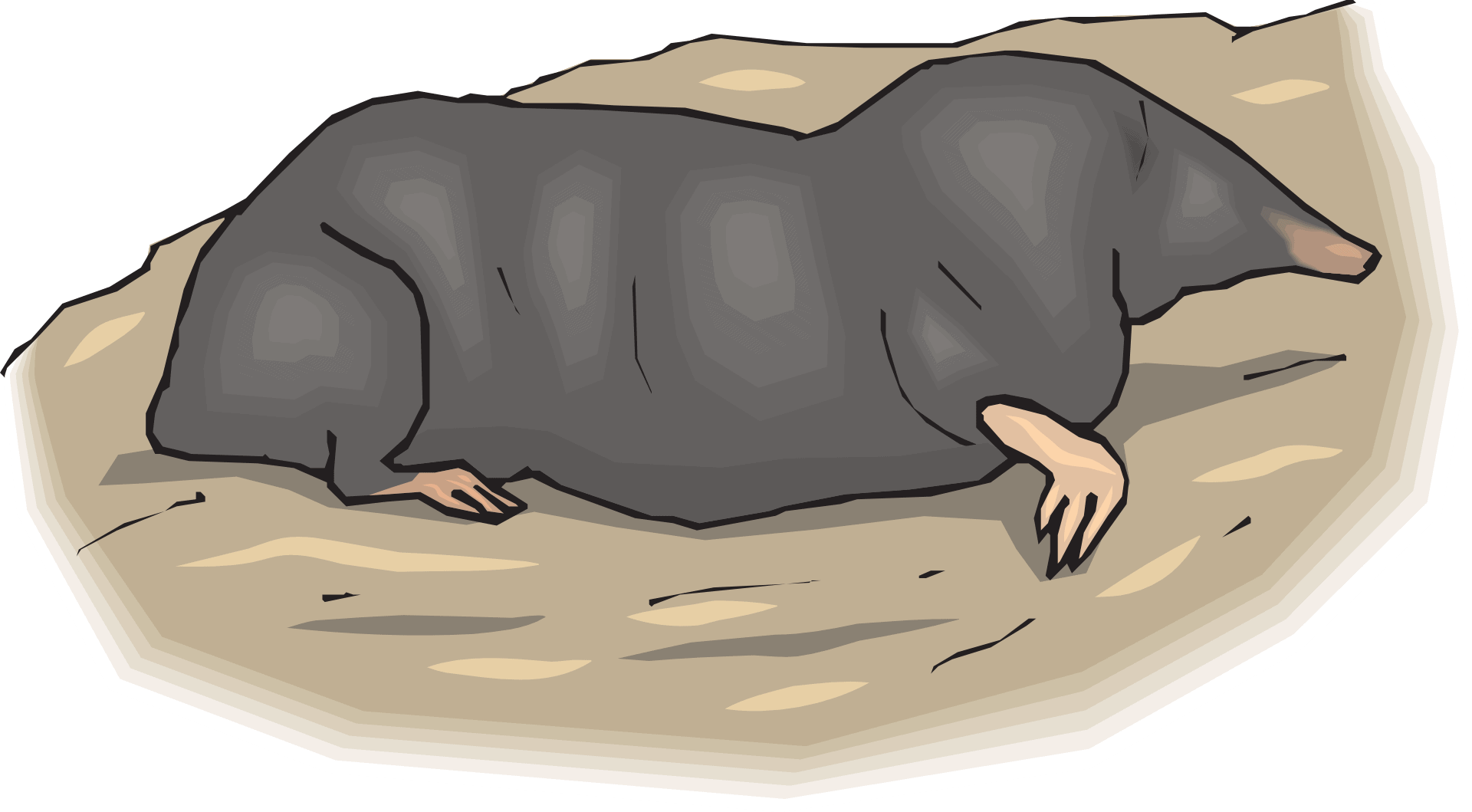 Illustration of a grey mole crawling out of its burrow