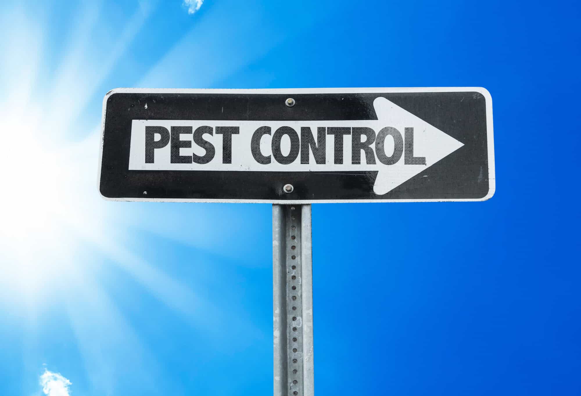 Pest control sign shaped like a one way road arrow against a clear blue sky
