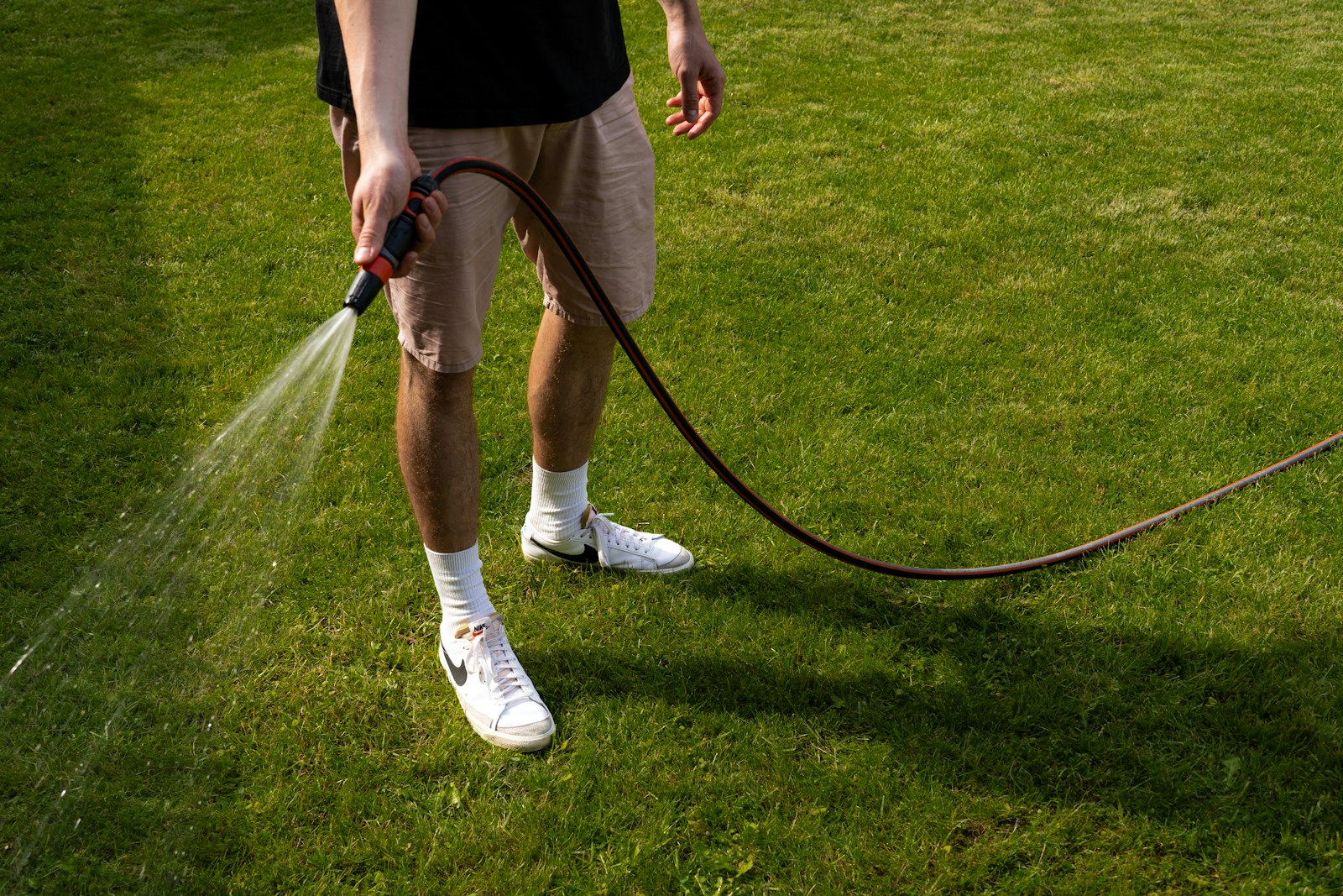 Homeowner spraying a green lawn with a hose end sprayer, the way liquid castor oil mole repellents are applied
