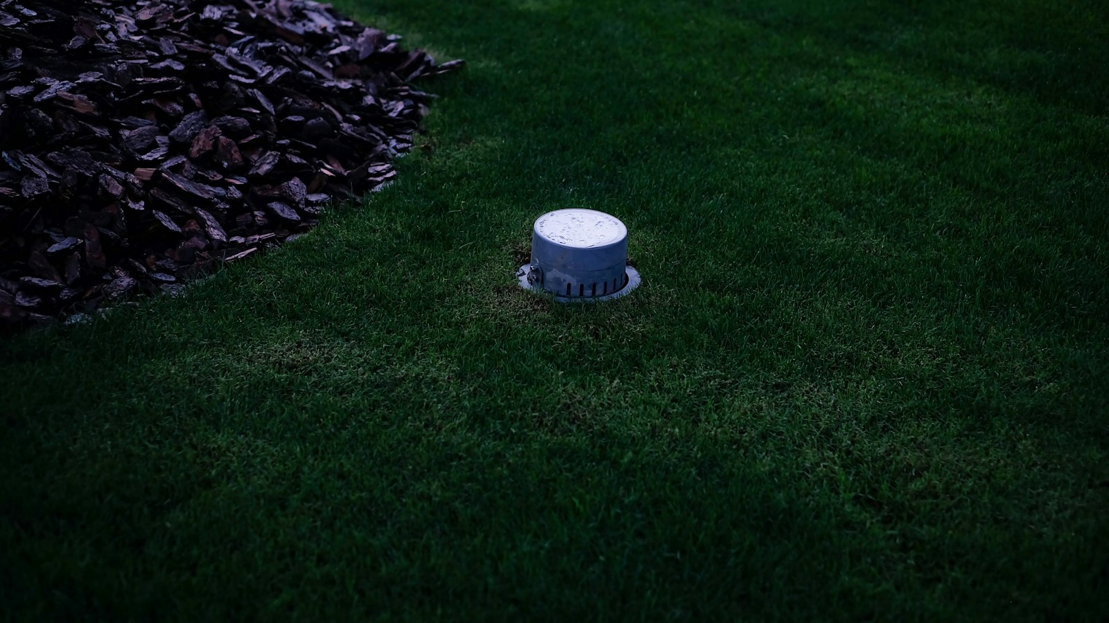 A small vented device seated in a mown green lawn beside a mulch bed at dusk, the kind of yard gadget homeowners install hoping it will move a mole along
