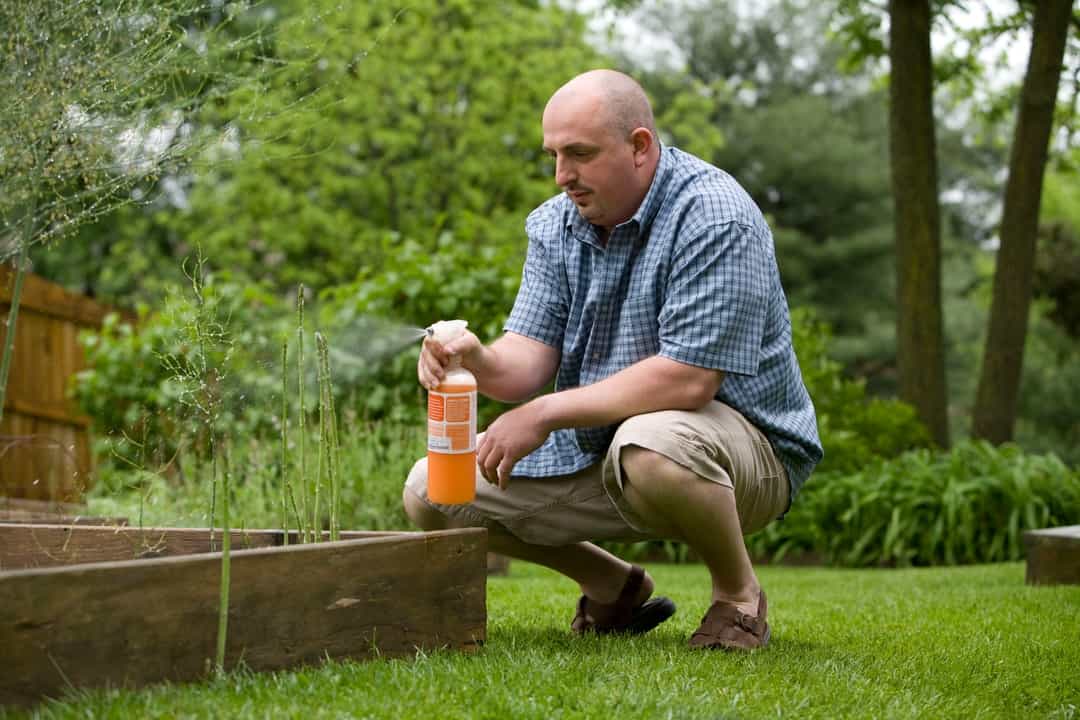 Homeowner crouched beside a raised garden bed, inspecting the lawn with a treatment bottle in hand