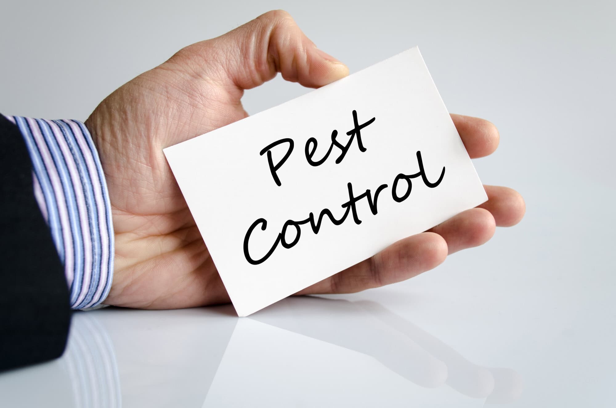 Hand in a dress shirt holding a handwritten pest control card