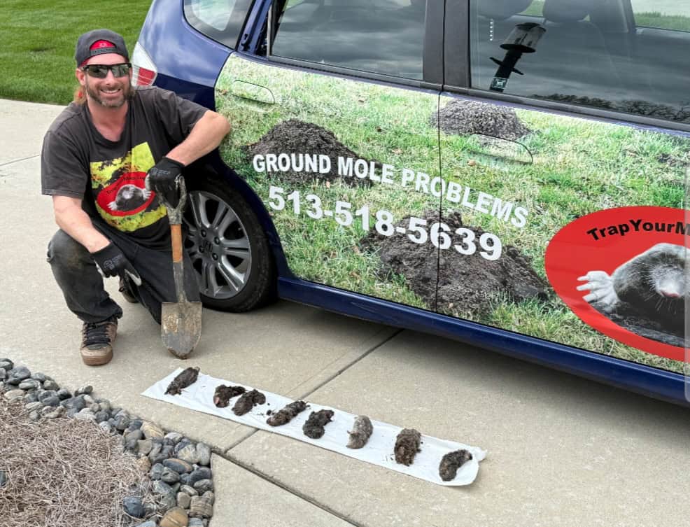 Trap Your Moles technician kneeling beside the branded service vehicle with a row of moles caught that day