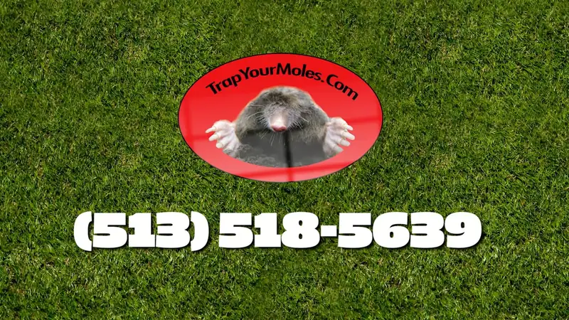 Trap Your Moles video: how mechanical mole trapping works